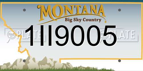 1II9005 Montana License Plate