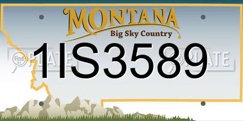 1IS3589 Montana License Plate