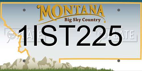1IST225 Montana License Plate