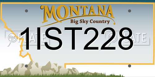 1IST228 Montana License Plate