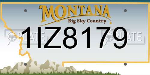 1IZ8179 Montana License Plate