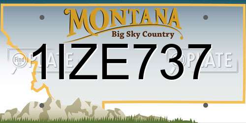 1IZE737 Montana License Plate
