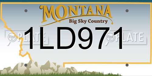 1LD971 Montana License Plate