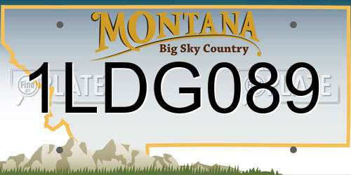 1LDG089 Montana License Plate