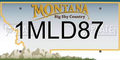 1MLD87 Montana License Plate