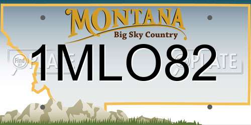 1MLO82 Montana License Plate