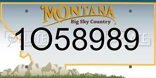 1O58989 Montana License Plate