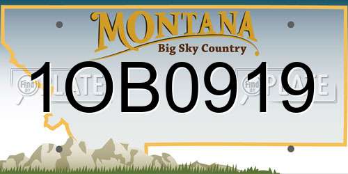1OB0919 Montana License Plate