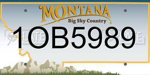 1OB5989 Montana License Plate