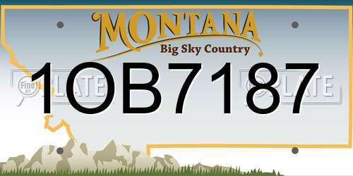 1OB7187 Montana License Plate