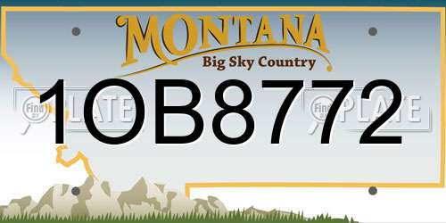 1OB8772 Montana License Plate