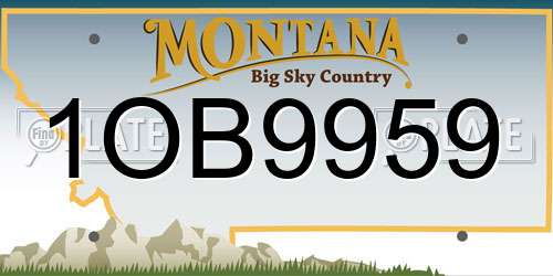 1OB9959 Montana License Plate