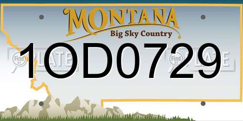 1OD0729 Montana License Plate