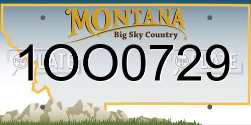 1OO0729 Montana License Plate