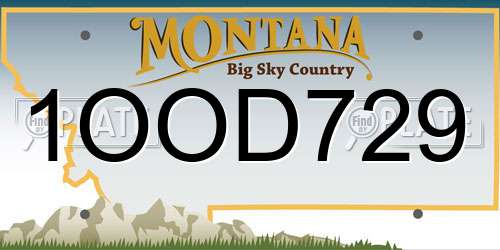 1OOD729 Montana License Plate