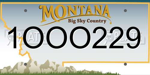 1OOO229 Montana License Plate