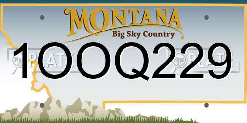 1OOQ229 Montana License Plate