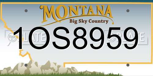 1OS8959 Montana License Plate