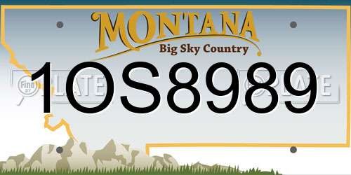 1OS8989 Montana License Plate