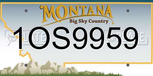 1OS9959 Montana License Plate