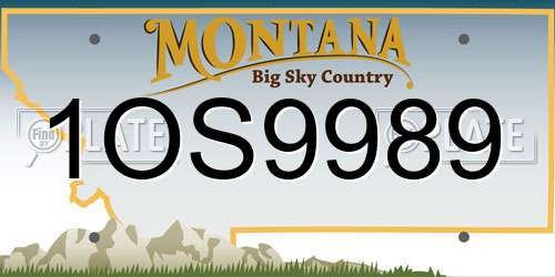 1OS9989 Montana License Plate