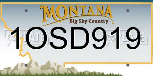 1OSD919 Montana License Plate