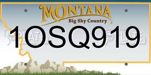 1OSQ919 Montana License Plate