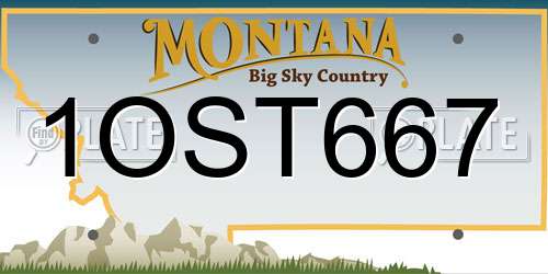 1OST667 Montana License Plate