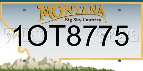 1OT8775 Montana License Plate