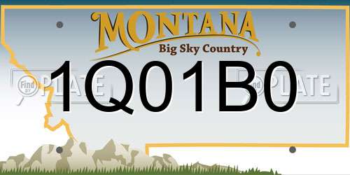 1Q01B0 Montana License Plate