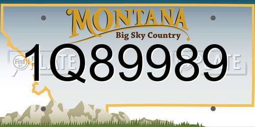 1Q89989 Montana License Plate