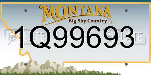 1Q99693 Montana License Plate