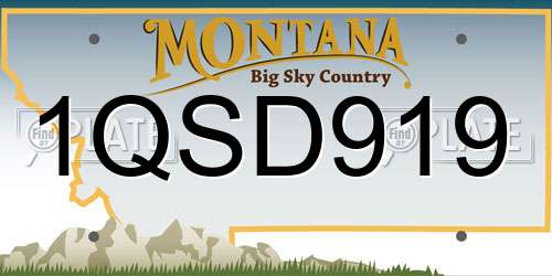 1QSD919 Montana License Plate