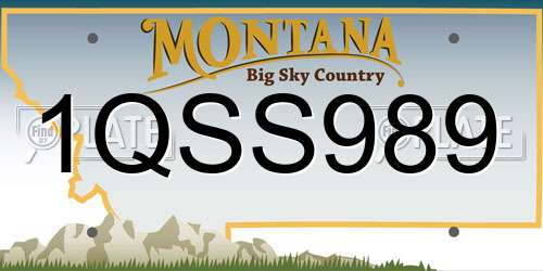 1QSS989 Montana License Plate