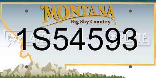1S54593 Montana License Plate