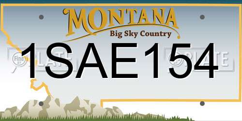 1SAE154 Montana License Plate