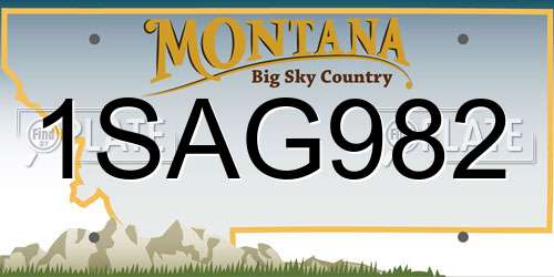 1SAG982 Montana License Plate