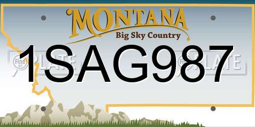 1SAG987 Montana License Plate