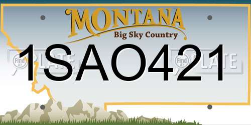 1SAO421 Montana License Plate
