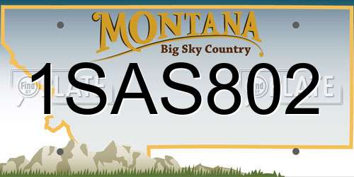 1SAS802 Montana License Plate