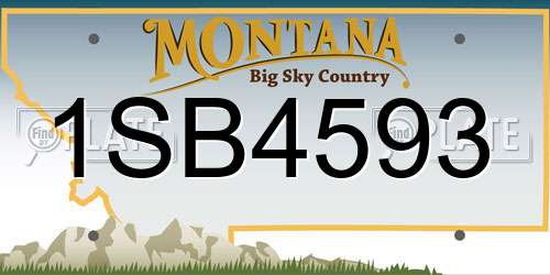 1SB4593 Montana License Plate