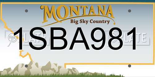 1SBA981 Montana License Plate