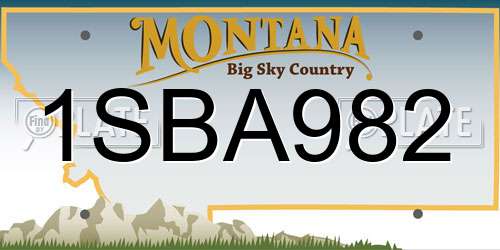 1SBA982 Montana License Plate