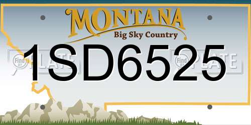 1SD6525 Montana License Plate