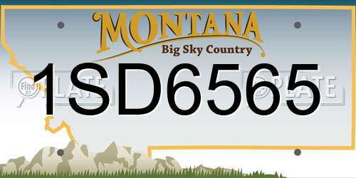 1SD6565 Montana License Plate