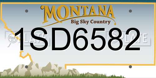1SD6582 Montana License Plate