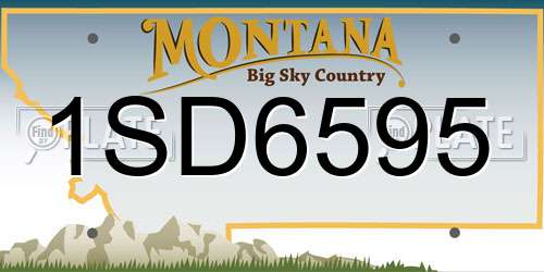1SD6595 Montana License Plate