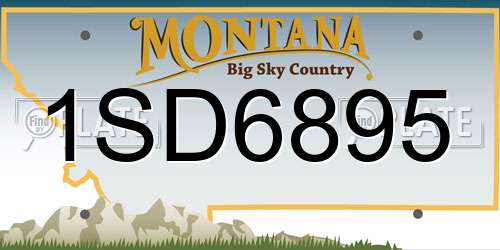 1SD6895 Montana License Plate