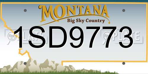 1SD9773 Montana License Plate