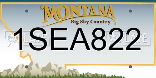 1SEA822 Montana License Plate